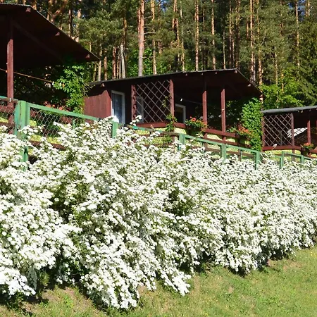 Villa Letnisko Zalesie Rentyny Exterior foto