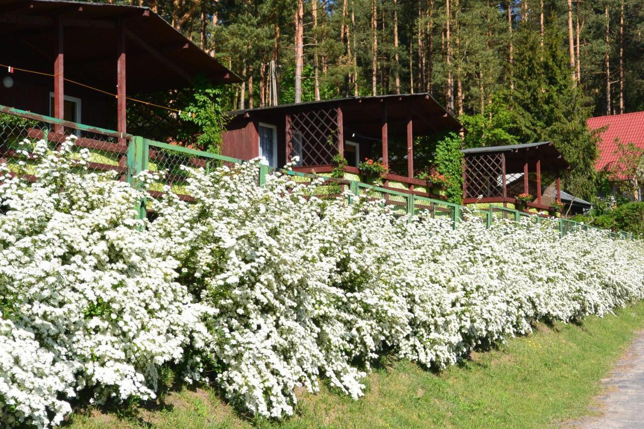 Lodge Letnisko Zalesie *